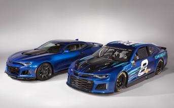 camaronascar1.jpg