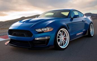 shelby1000201801.jpg