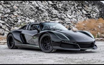 blackbird01.jpg