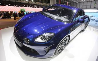 alpinea11054017.jpg