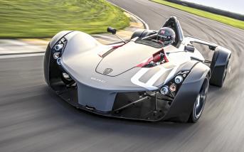 bacmono01.jpg
