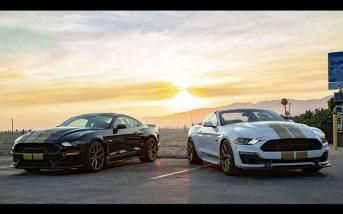 shelbygt02.jpg