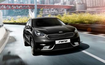 kianirohybrid201901.jpg