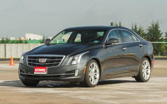 mastertestcadillacats01.jpg