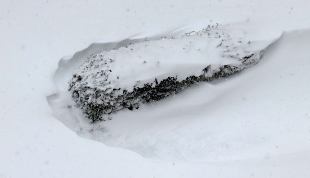 Temporal de nieve en España. Foto: Cordon Press.