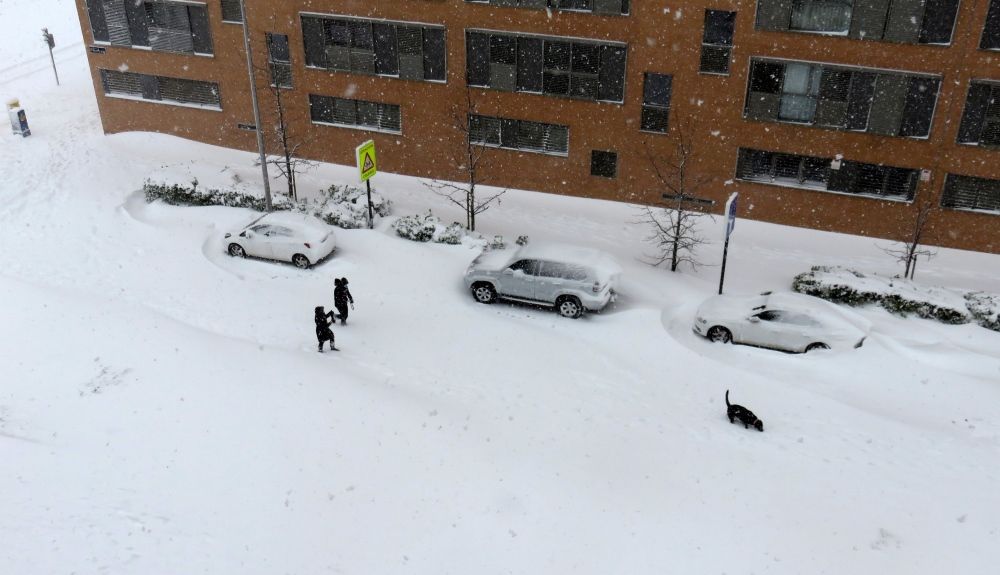 Temporal de nieve en España. Foto: Cordon Press.