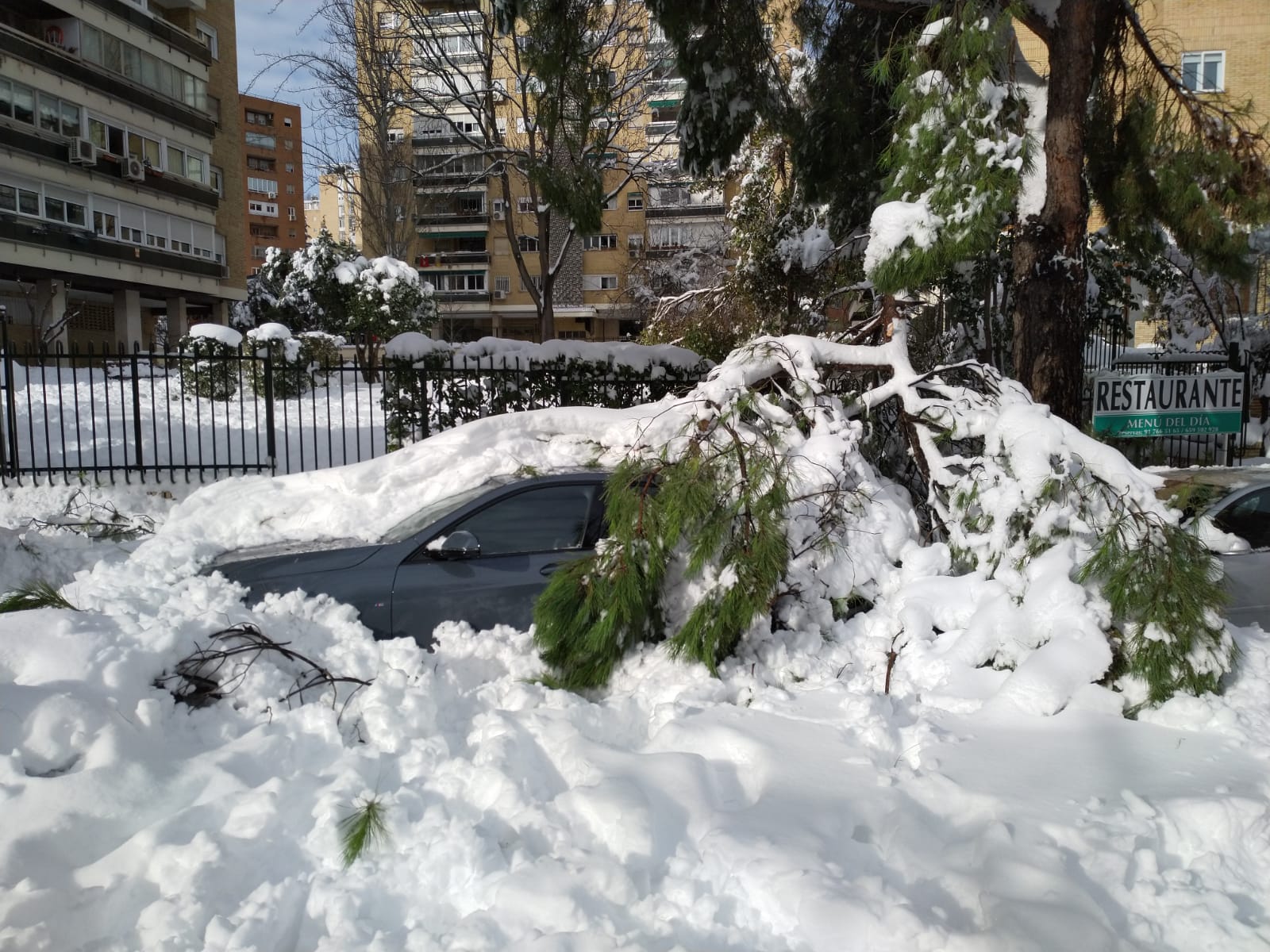 Temporal de nieve Filomena
