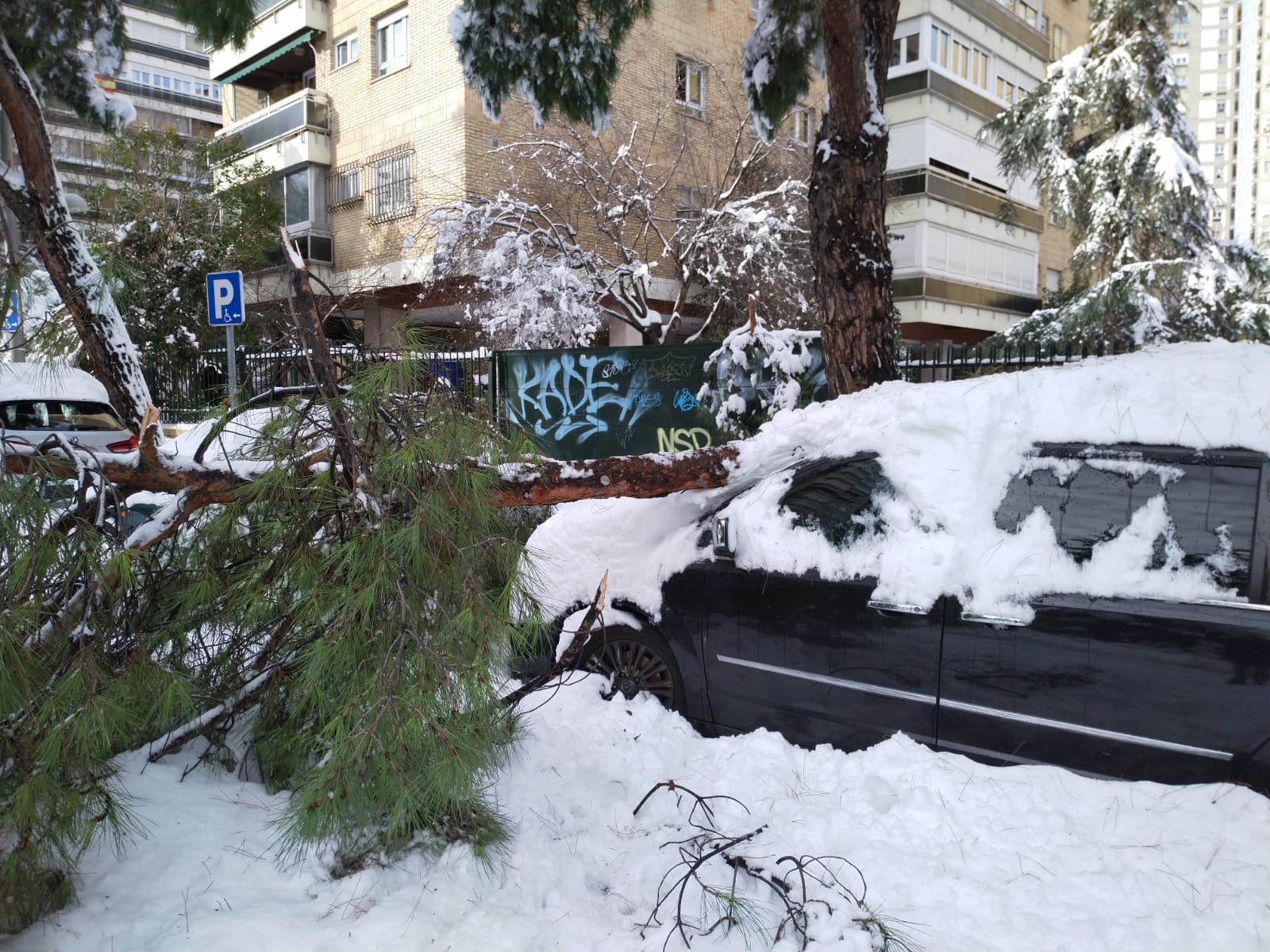 Temporal de nieve Filomena
