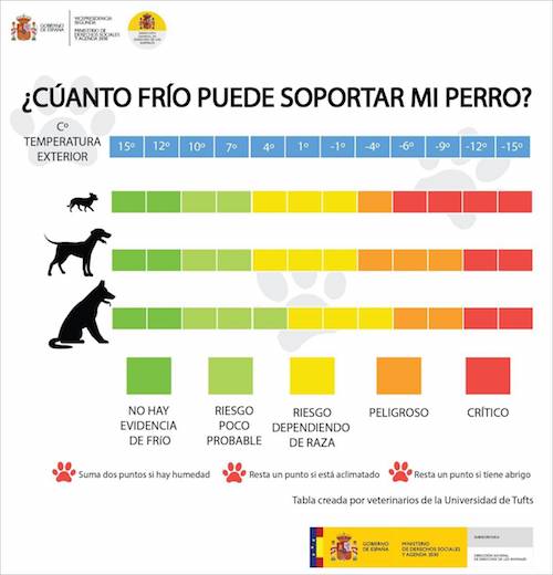 linea cuanto frio puede soportar perro infografia dchos animales linea cuanto frio puede soportar perro infografia dchos animales