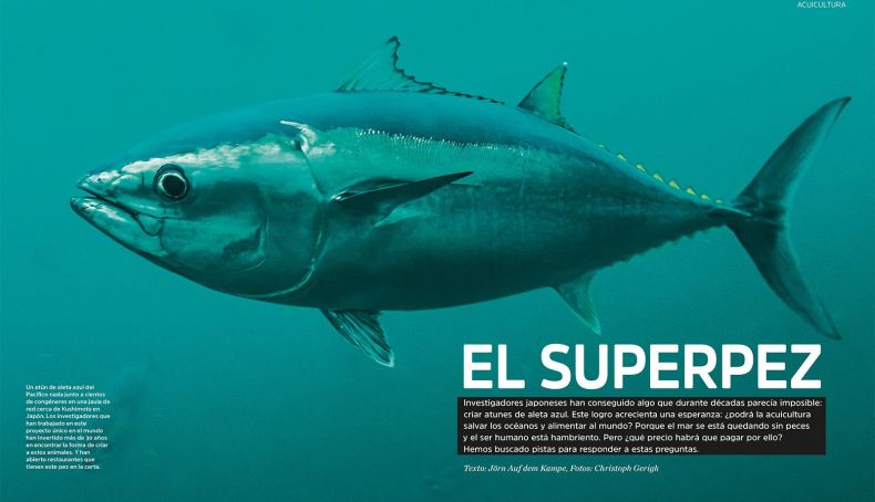 ¿Puede la acuicultura salvar los mares y alimentar al mundo? ¿Puede la acuicultura salvar los mares y alimentar al mundo?