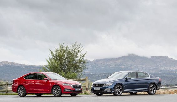 Octavia vs passat