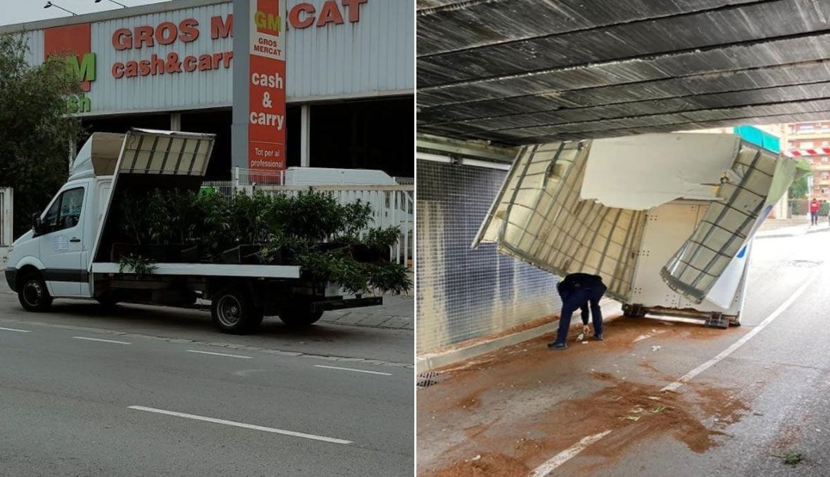 Un conductor choca contra un puente cuando trasladaba plantas de marihuana. Fotos: SocialDrive
