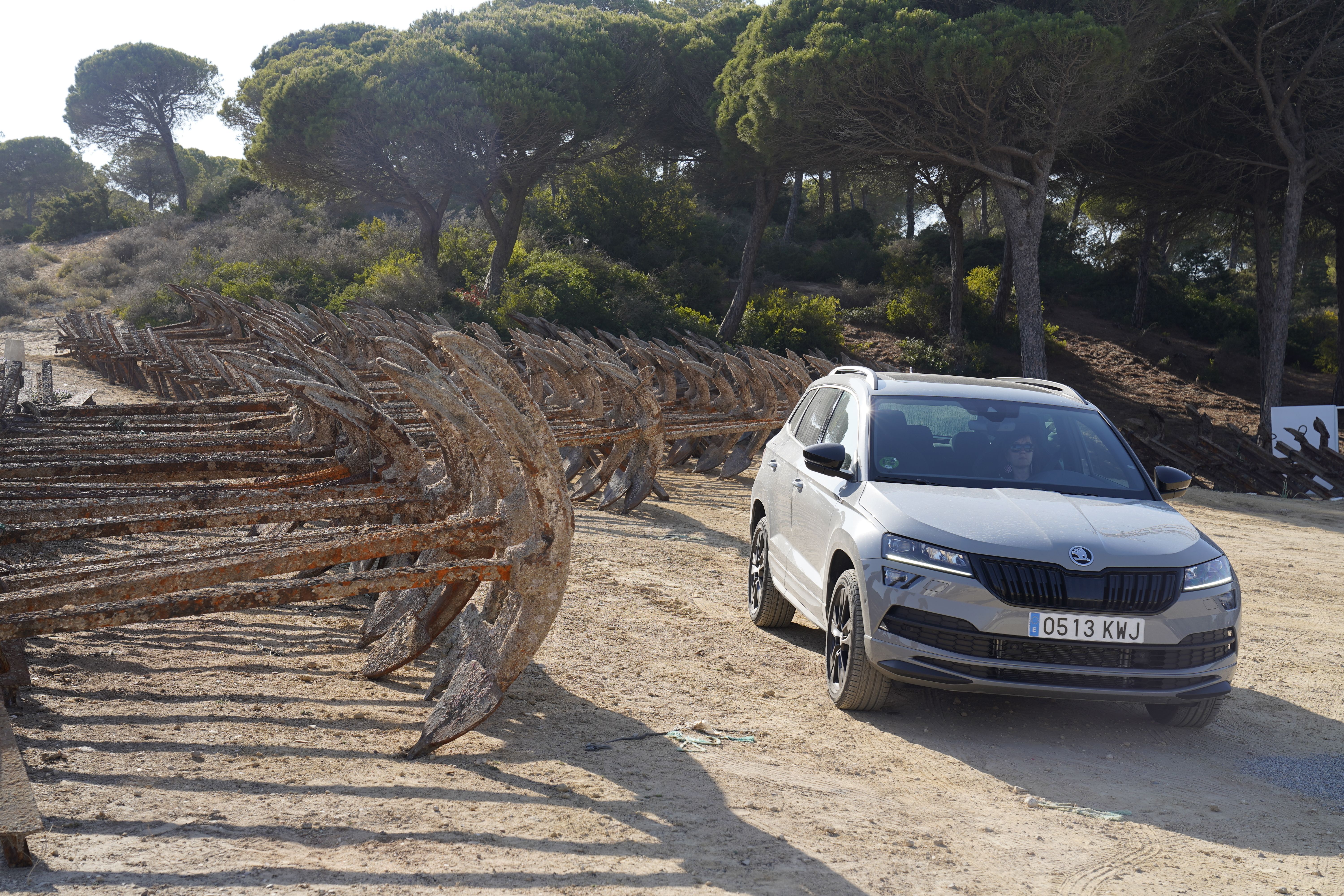 Skoda Karoq larga duración Miguel 1