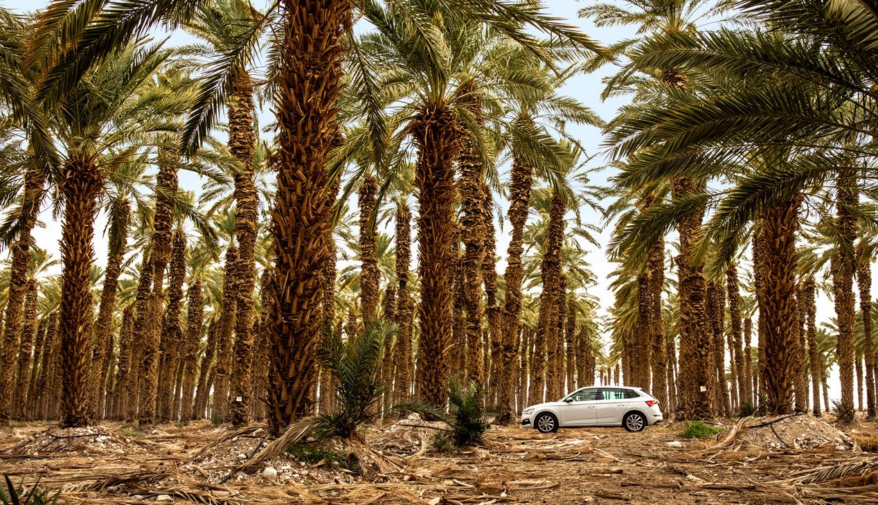 Skoda Scala en Jerusalén 