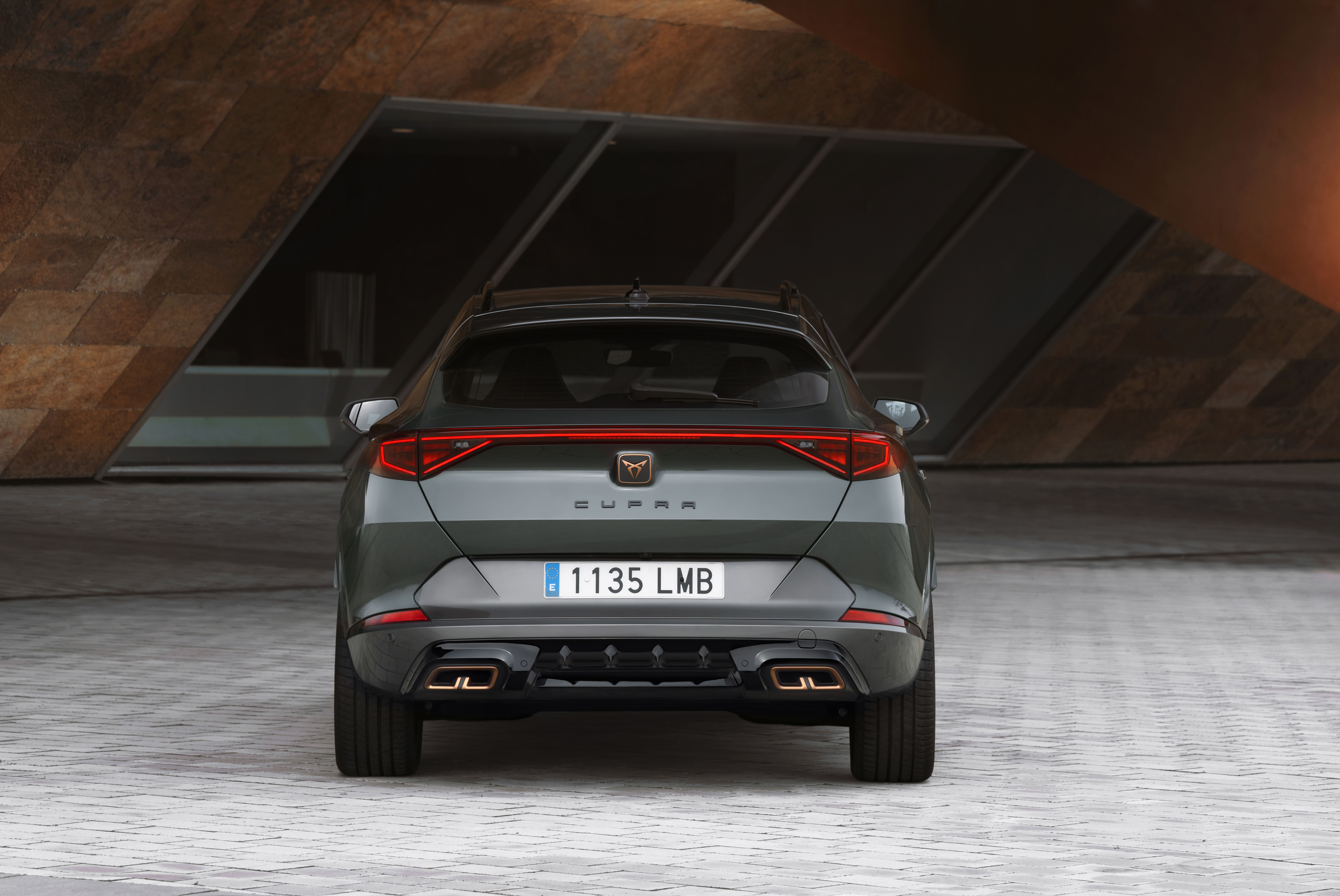 Cupra Formentor E Hybrid (4)