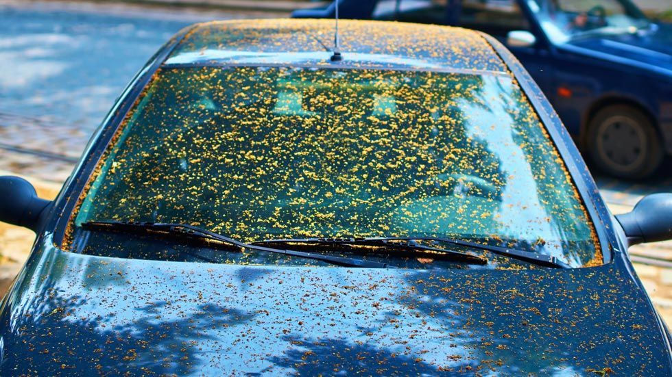 Trucos para eliminar la resina de tu coche.