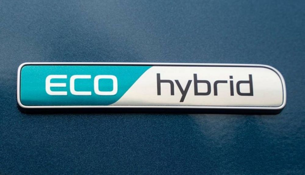 El nuevo Niro 2022 contará con versiones híbrida e híbrida enchufable El nuevo Niro 2022 contará con versiones híbrida e híbrida enchufable