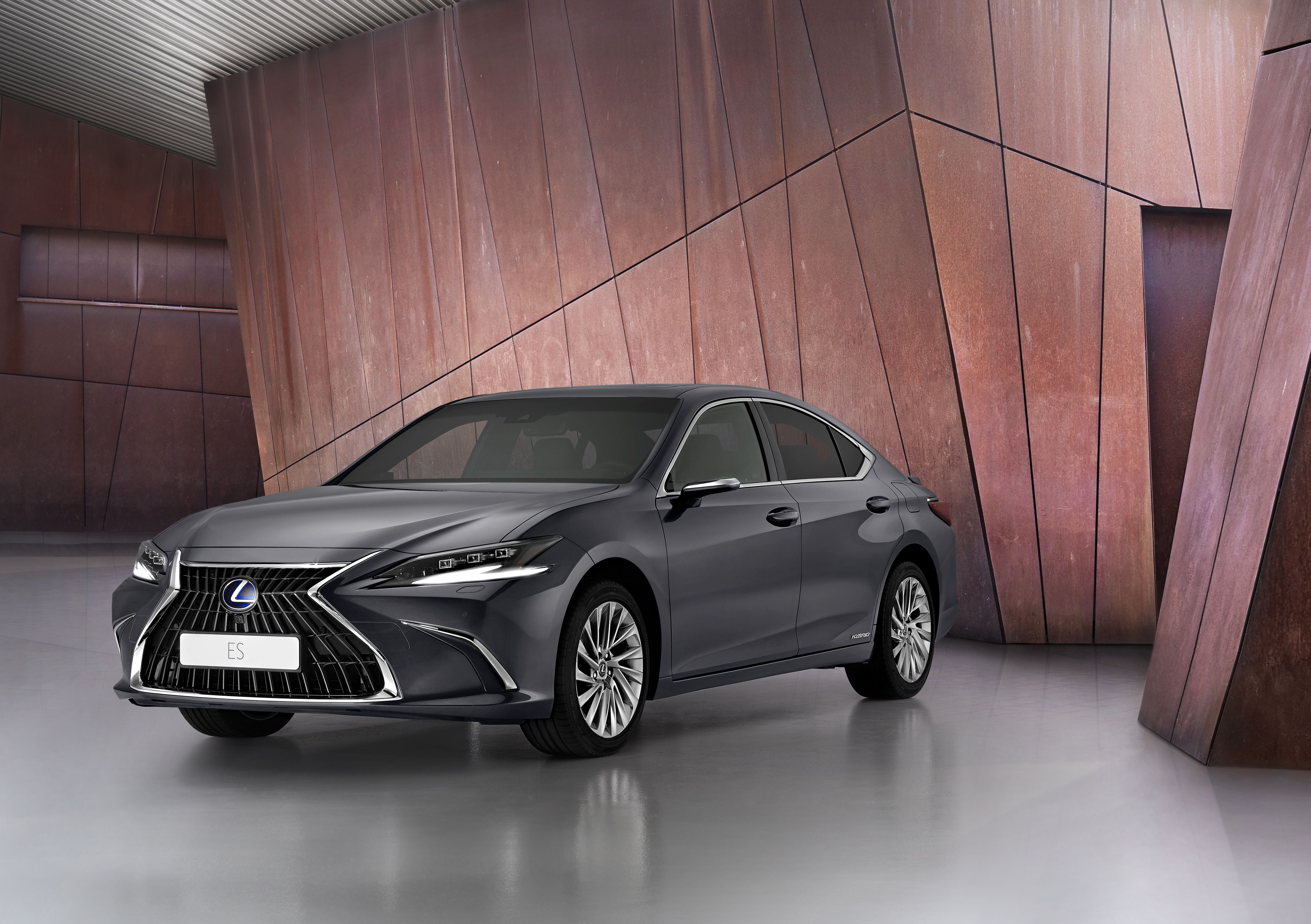lexuses1