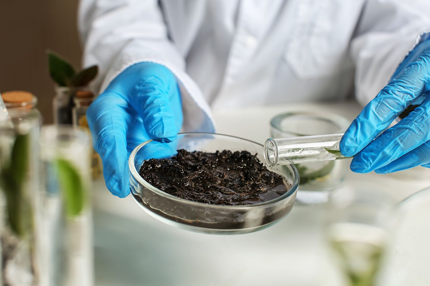 Copperreplace es un proyecto de I+D+i que busca reducir la aplicación de cobre en viñedos y remediar así la contaminación de los suelos. 