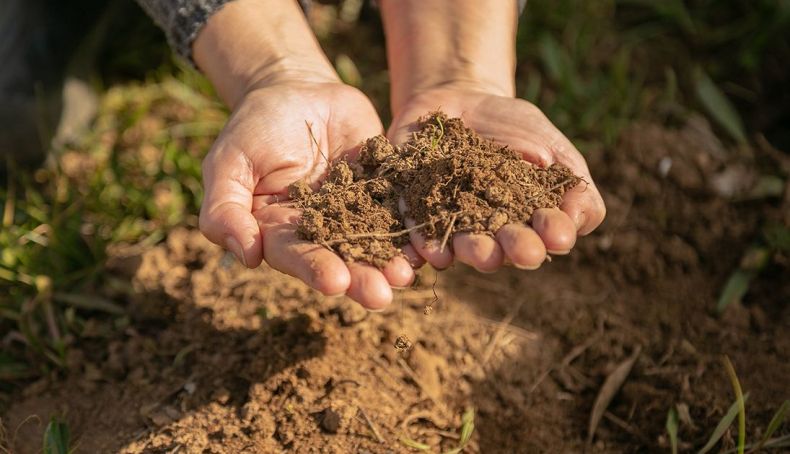 Coppereplace creará una red de stakeholders que incorporará, no solo a viticultores, sino también a otros representantes del panorama vitivinícola internacional.