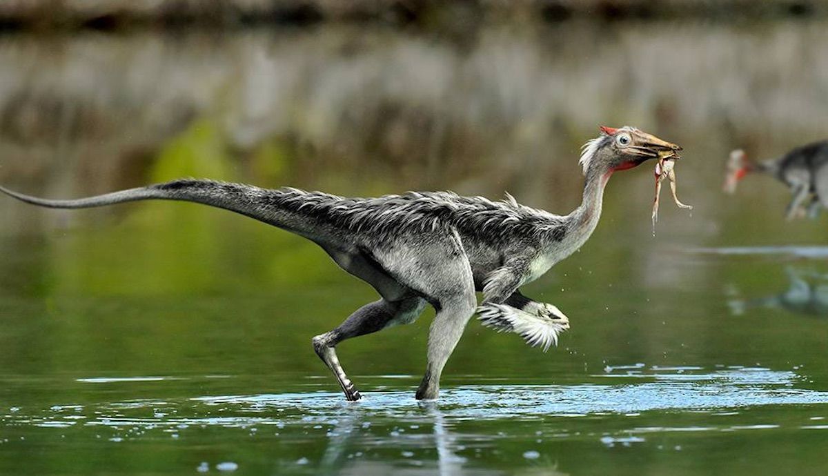 dinosaurio cuenca 210514