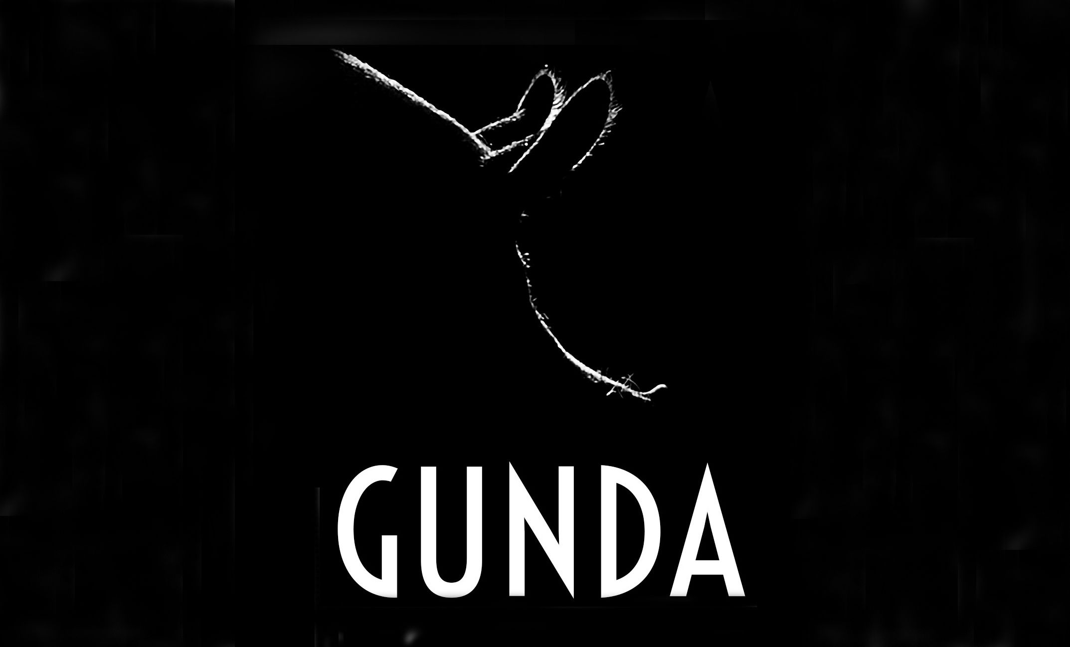 Gunda, el documental sobre la vida de una cerda que te cambiará la forma de consumir animales.