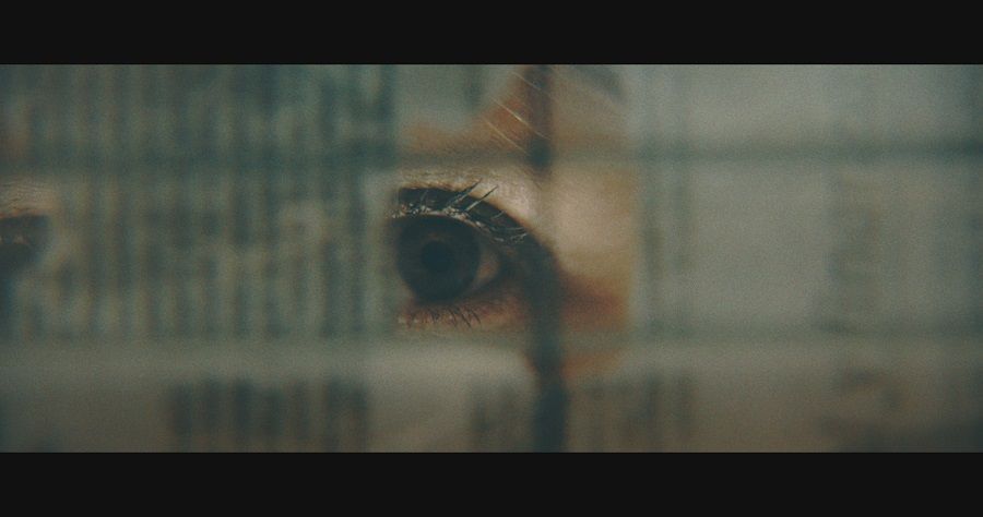 Colza,  lo invisible, el documental que conmemora los 40 años del mayor envenenamiento de la historia de España.