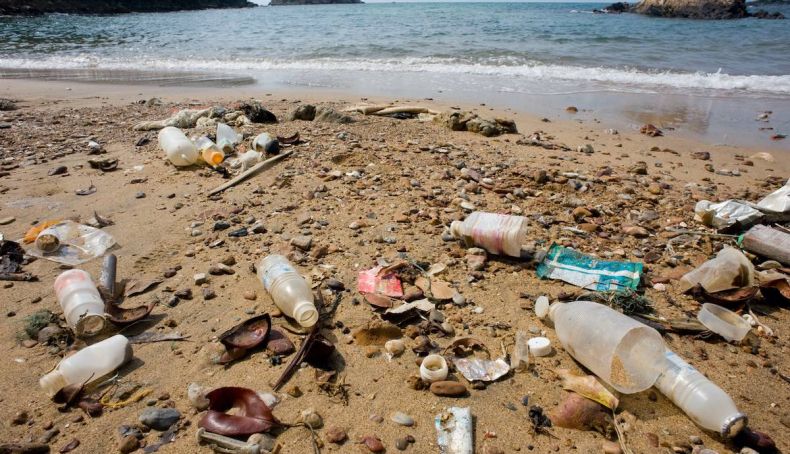 Las concentraciones de macro basura en costas y fondos costeros son del orden de 10.000 veces superiores a las concentraciones en los fondos profundos Las concentraciones de macro basura en costas y fondos costeros son del orden de 10.000 veces superiores a las concentraciones en los fondos profundos
