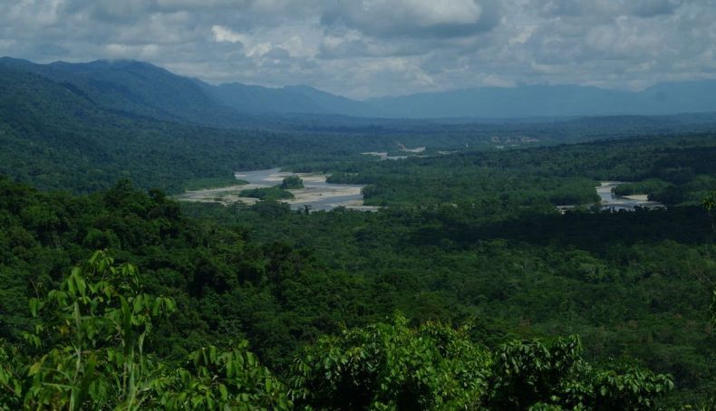 Parque Nacional Manu, Amazonas peruano. Foto iStock 210614