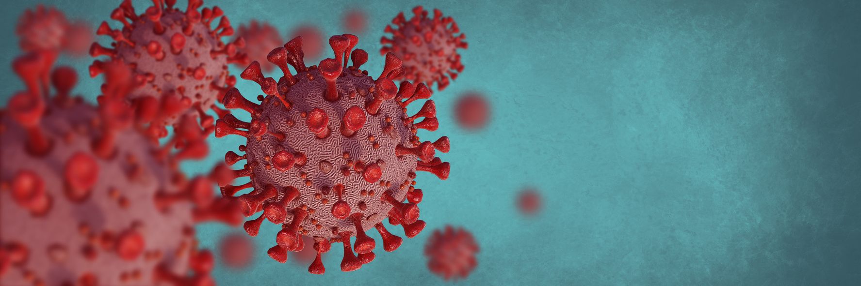 El CSIC ha identificado distintos compuestos moleculares que impiden la entrada del virus de Covid 19 en las células