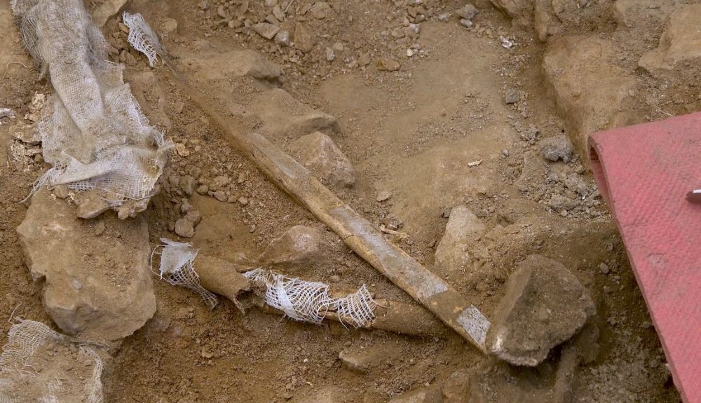 Hallazgo de Linya, la Homo Sapiens que vivió en la penínusla hace más de 14.000 años. Hallazgo de Linya, la Homo Sapiens que vivió en la penínusla hace más de 14.000 años.