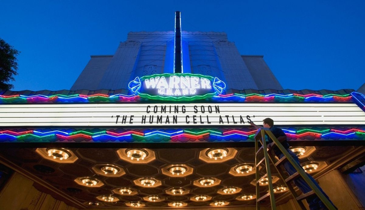 El Atlas de las celulas humanas es una de las tecnologías científicas más avanzadas. Foto: Nature.