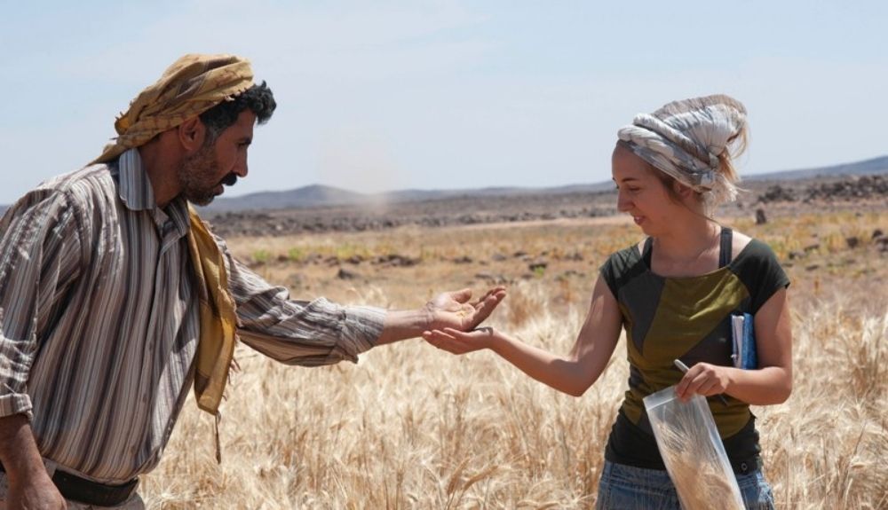 Amaia Arranz Otaegui (derecha) examina el cultivo de granos en el noreste de Jordania Amaia Arranz Otaegui (derecha) examina el cultivo de granos en el noreste de Jordania