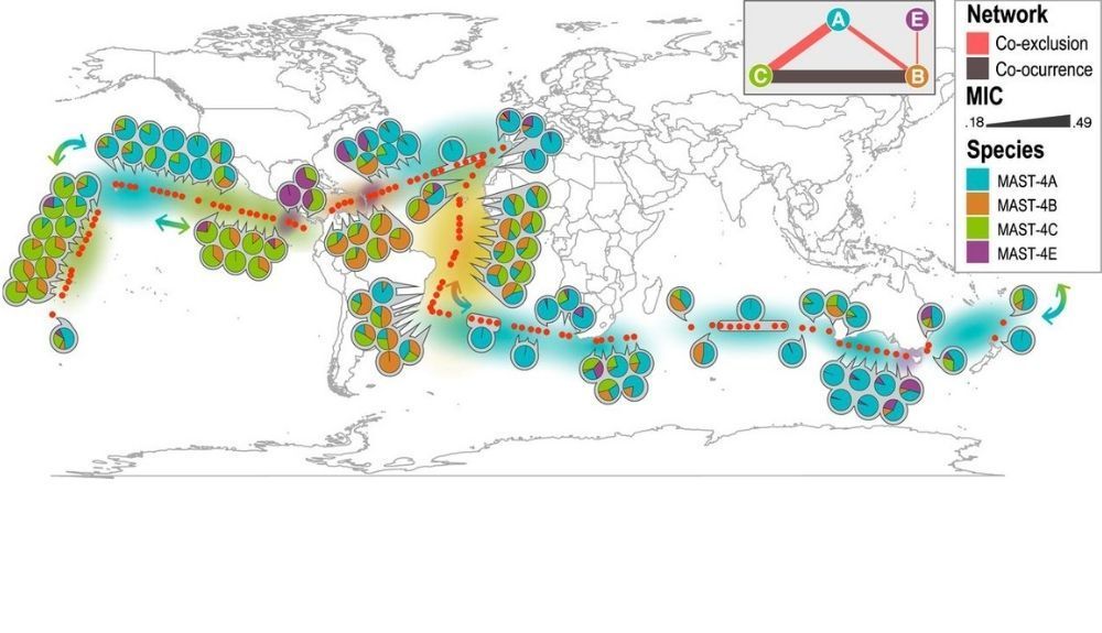 Los resultados de este estudio pueden tener implicaciones en el entendimiento de los efectos del cambio global sobre los microorganismos del océano. Los resultados de este estudio pueden tener implicaciones en el entendimiento de los efectos del cambio global sobre los microorganismos del océano.