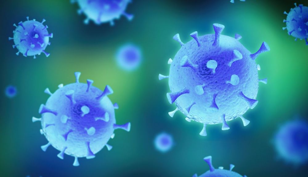Imagen del virus SARS CoV 2, responsable de la Covid 19. Imagen del virus SARS CoV 2, responsable de la Covid 19.