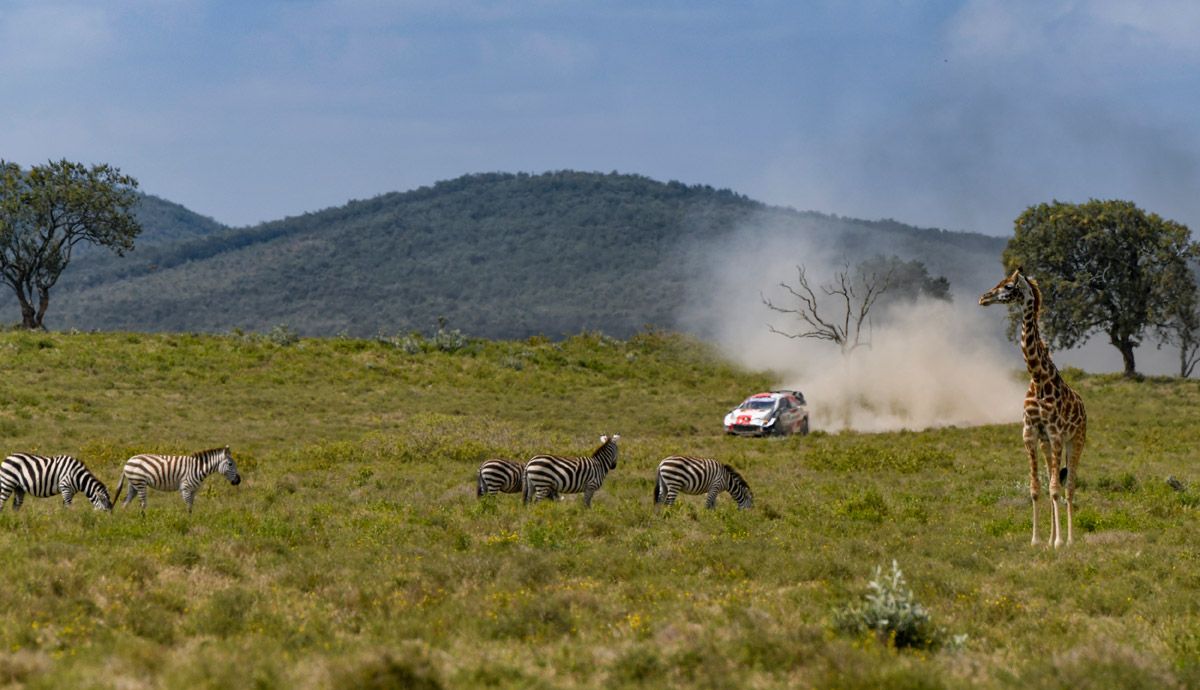 Las mejores imágenes del Rally Safari 2021.