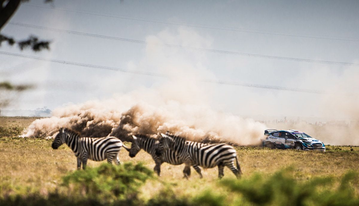 Las mejores imágenes del Rally Safari 2021.