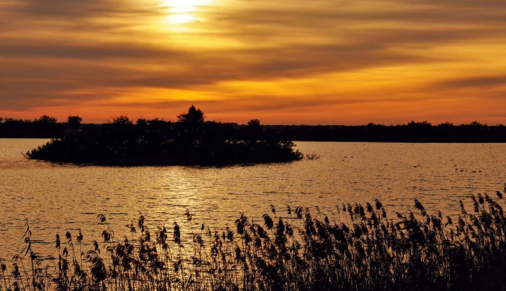 Paisaje al atardecer en el Parque Nacional de Doñana