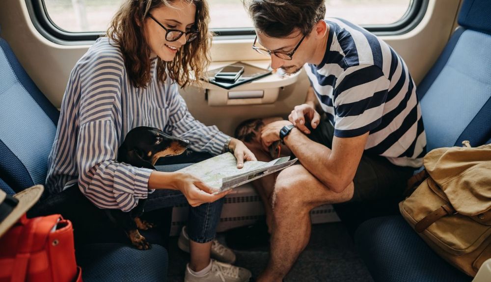 Greenpeace solicita que se pueda viajar en tren con mascotas. Greenpeace solicita que se pueda viajar en tren con mascotas.
