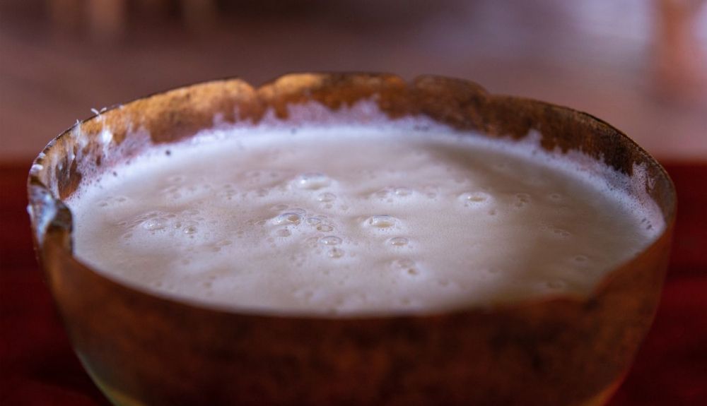 La chicha, bebida fermentada obtenida de la yuca. La chicha, bebida fermentada obtenida de la yuca.