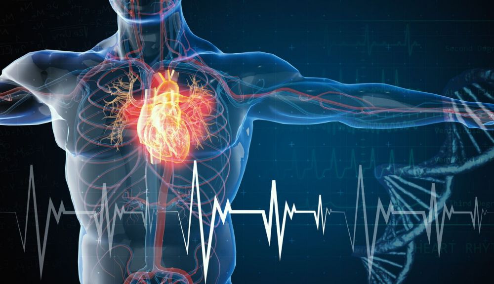 las enfermedades cardiacas a veces se conocen muy temprano en la vida.