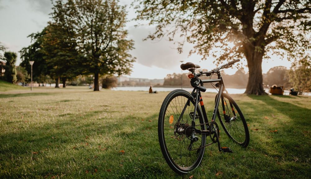 Las bodegas ofrecen paseos en bicicleta por los viñedos. Las bodegas ofrecen paseos en bicicleta por los viñedos.