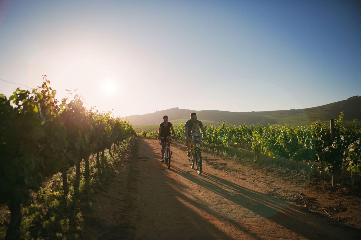 Los planes de enoturismo incluyen un recorrido en bicicleta por viñedos. Foto: Istock.