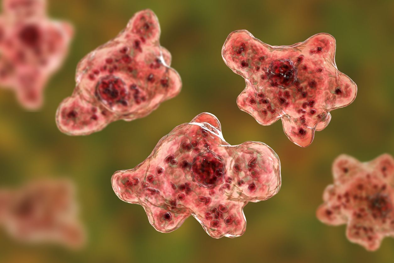 Infección por ameba comecerebros. IStock.
