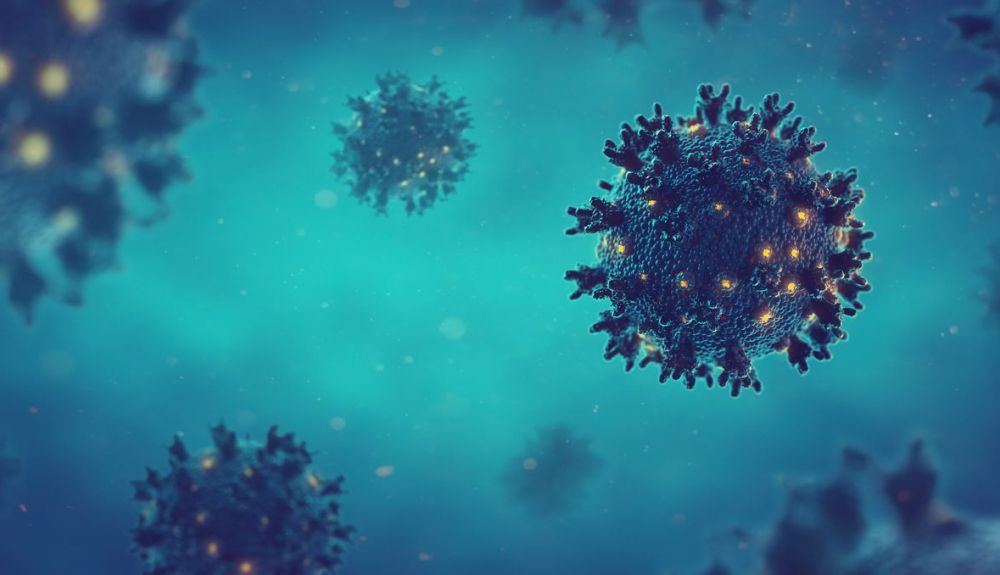 Imagen del virus de la Covid 19. Imagen del virus de la Covid 19.