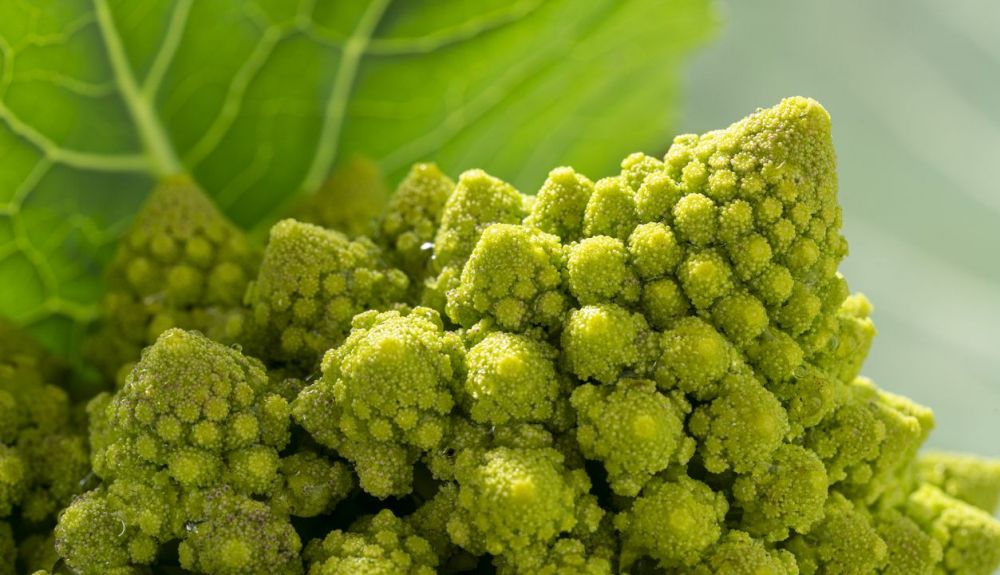 La coliflor romanesco tiene una estructura piramidal compuesta por pirámides más pequeñas. La coliflor romanesco tiene una estructura piramidal compuesta por pirámides más pequeñas.