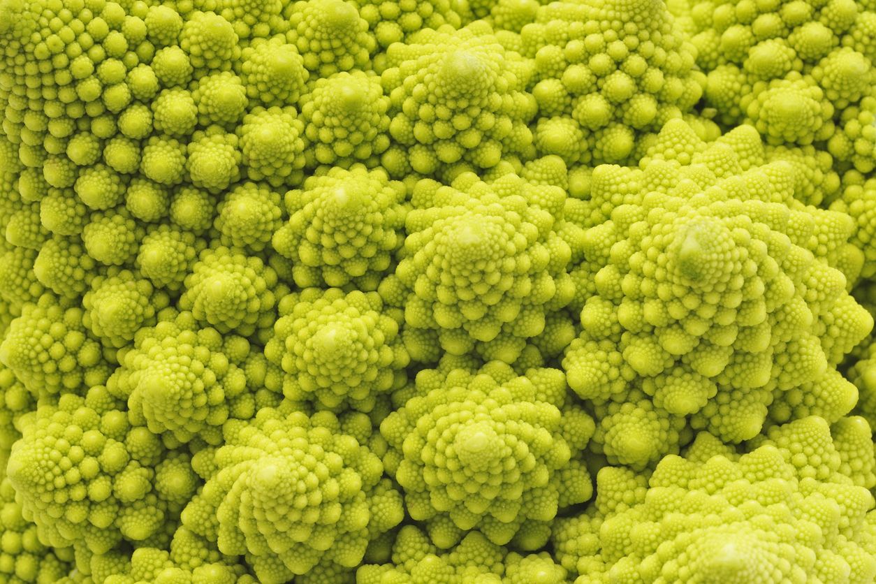 La peculiar forma de la coliflor romanesco. Foto: Istock.