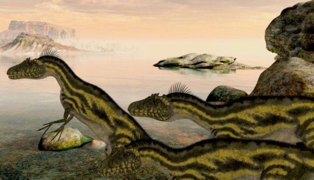 El deltadromeus también habitaba la región de Kem Kem. El deltadromeus también habitaba la región de Kem Kem.