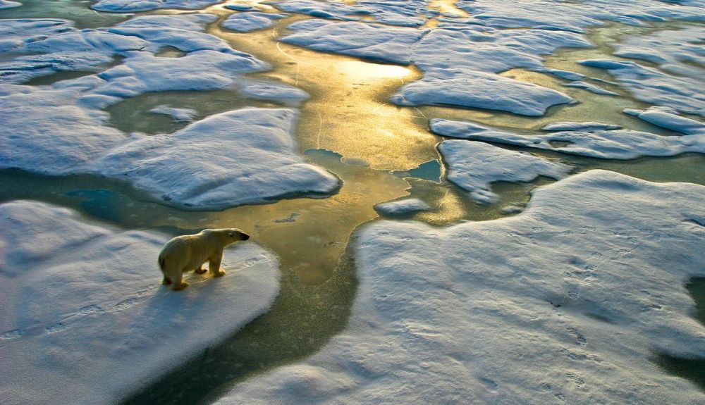 Uno de los efectos del cambio climático es que el hielo de los poos se está derritiendo.