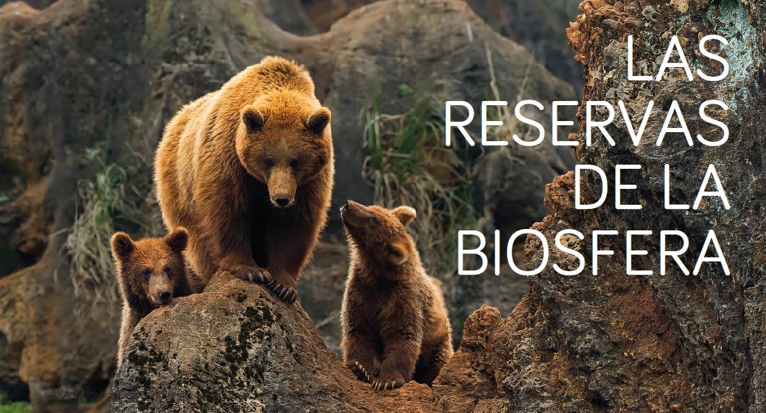 Cartel del la exposición Reservas de la Biosfera.